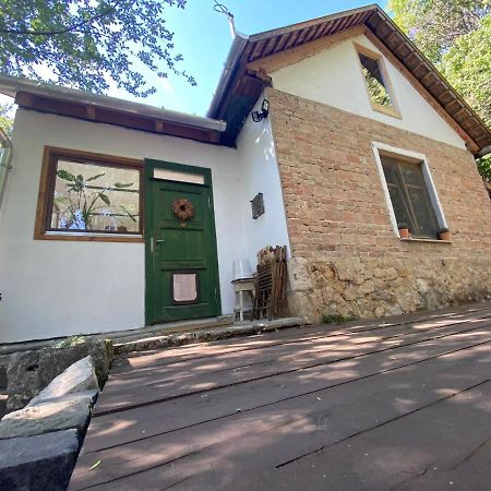 Rustic Cottage & Garden Retreat On Buda Hilltop Budapest Eksteriør bilde