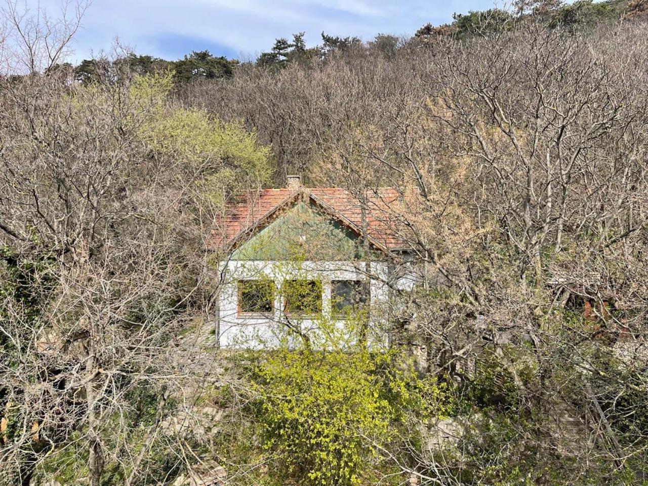 Rustic Cottage & Garden Retreat On Buda Hilltop Budapest Eksteriør bilde